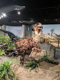 pxl_20231010_171723169_thumb.jpg