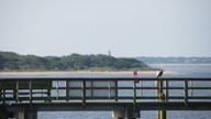 img_3890_thumb.jpg