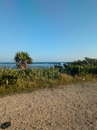 pxl_20241126_130544575_thumb.jpg