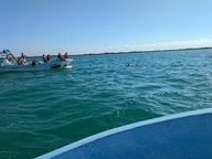 pxl_20241126_143638547_thumb.jpg