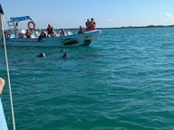 pxl_20241126_144010653_thumb.jpg