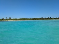 pxl_20241126_155317124_thumb.jpg