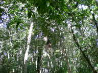 dscn1085_thumb.jpg