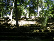 dscn1088_thumb.jpg