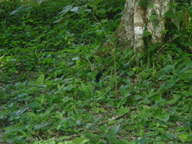 dscn1089_thumb.jpg
