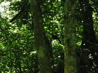 dscn1091_thumb.jpg