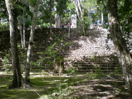dscn1100_thumb.jpg