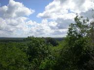 dscn1118_thumb.jpg