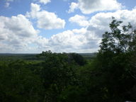 dscn1123_thumb.jpg