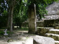 dscn1130_thumb.jpg