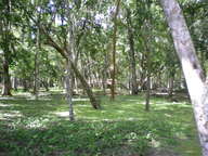 dscn1134_thumb.jpg