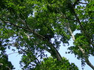 dscn1139_thumb.jpg