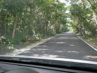dscn1143_thumb.jpg