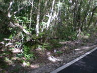 dscn1145_thumb.jpg