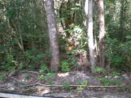 dscn1147_thumb.jpg