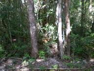 dscn1148_thumb.jpg