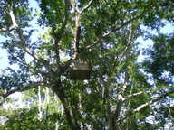 dscn1149_thumb.jpg