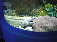 dscn1176_thumb.jpg