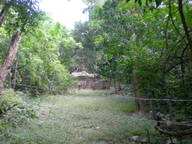 dscn0874_thumb.jpg