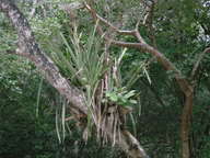 dscn0875_thumb.jpg