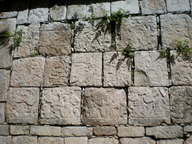 dscn0895_thumb.jpg
