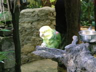 dscn1154_thumb.jpg