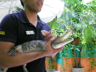 dscn1156_thumb.jpg