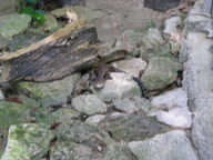 dscn1163_thumb.jpg