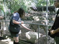 dscn1173_thumb.jpg