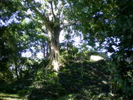 dscn1068_thumb.jpg