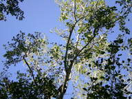 dscn1078_thumb.jpg