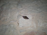 dscn0917_thumb.jpg