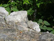 dscn0923_thumb.jpg