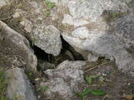 dscn0924_thumb.jpg