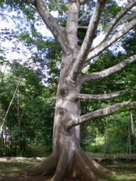 dscn0925_thumb.jpg