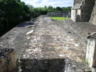 dscn0935_thumb.jpg