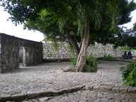 dscn1013_thumb.jpg