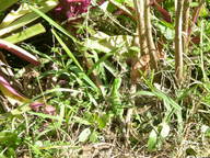 dscn1209_thumb.jpg