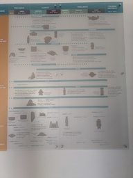 pxl_20241129_183237587_thumb.jpg