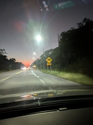 jaguar_crossing_thumb.jpg
