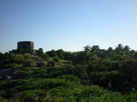 dscn1004_thumb.jpg
