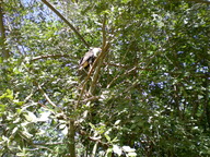 dscn0792_thumb.jpg