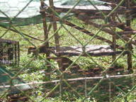 dscn0793_thumb.jpg