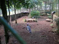 dscn0801_thumb.jpg