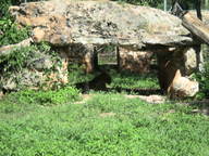jaguar2_thumb.jpg