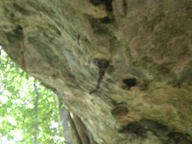 dscn0812_thumb.jpg