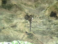 dscn0815_thumb.jpg