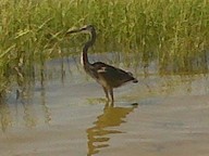 IMG00037-20100920-1251_thumb.jpg