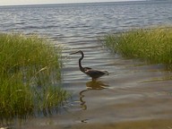 IMG00039-20100920-1251_thumb.jpg