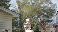 mockingbird_thumb.jpg